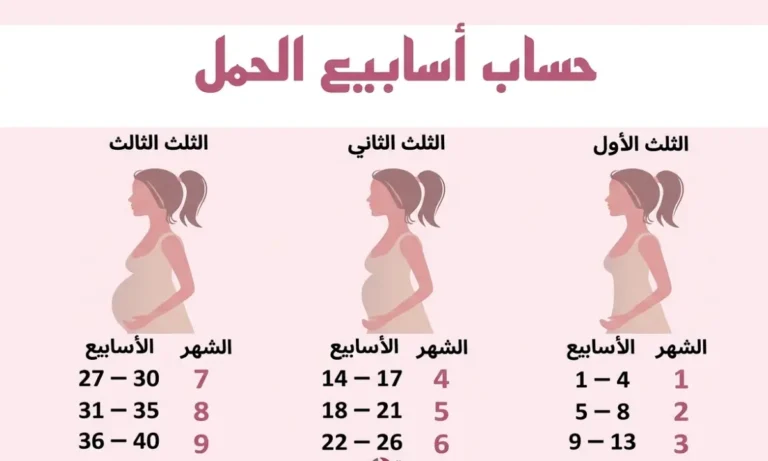اسابيع الحمل: حاسبة الحمل الدقيقة