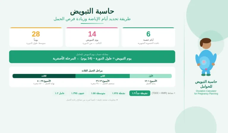 حاسبة التبويض طريقة تحديد أيام الإباضة وزيادة فرص الحمل